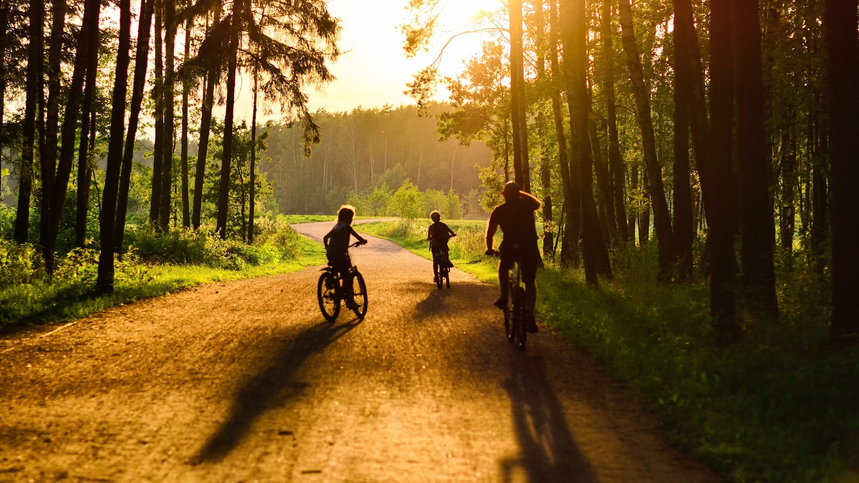 Two children and an adult riding bikes through the Forrest 