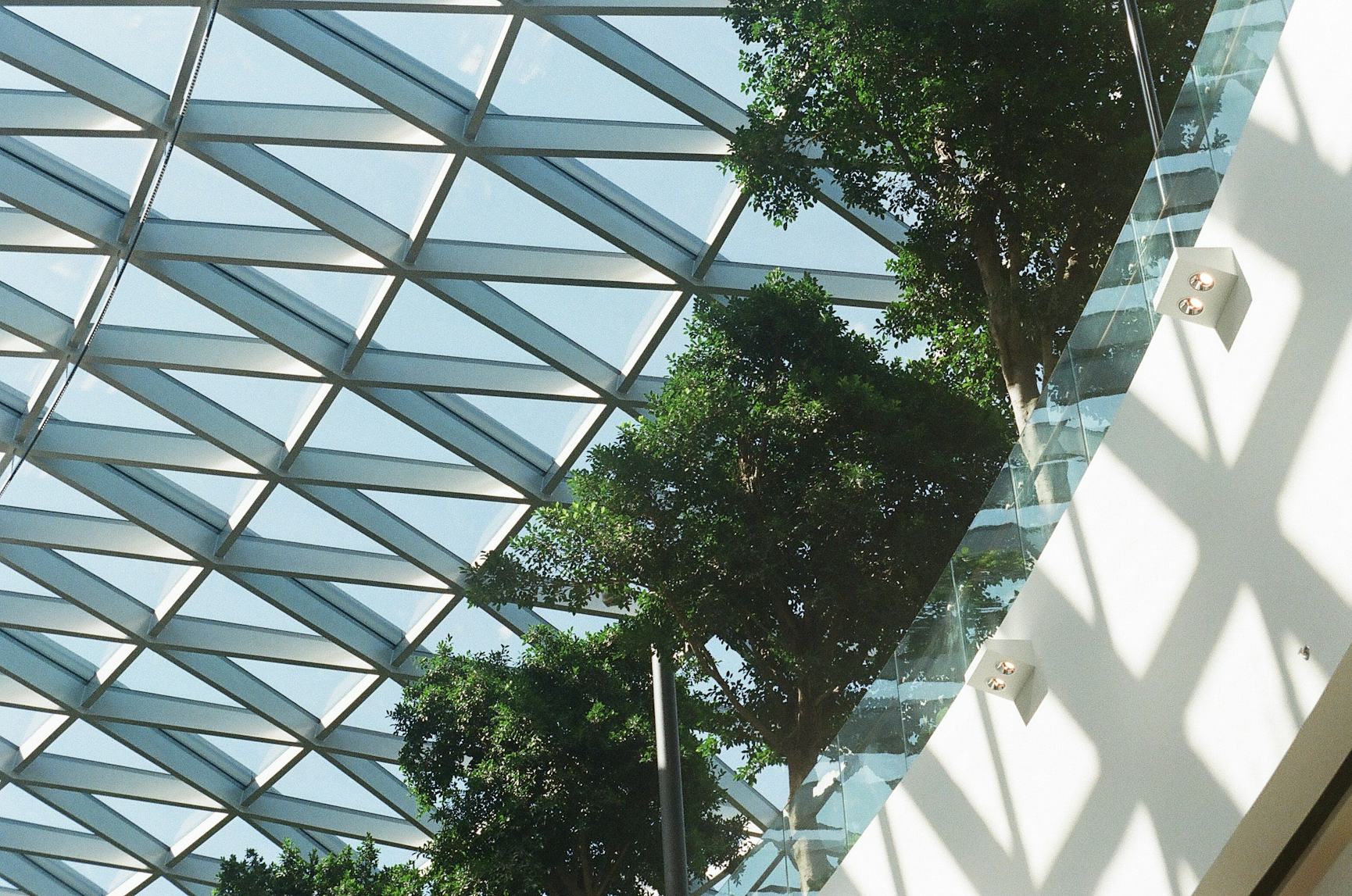 Building with glass roof and greenery 